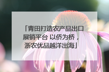 青田打造农产品出口展销平台 以侨为桥，浙农优品越洋出海