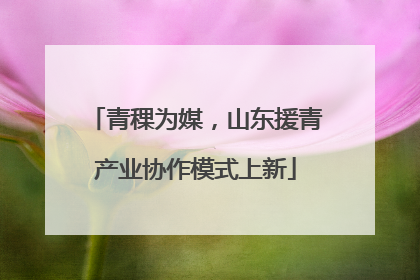 青稞为媒，山东援青产业协作模式上新