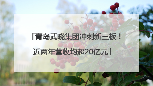 青岛武晓集团冲刺新三板！近两年营收均超20亿元