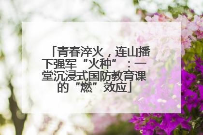 青春淬火，连山播下强军“火种”：一堂沉浸式国防教育课的“燃”效应
