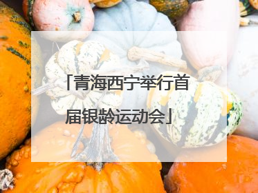 青海西宁举行首届银龄运动会