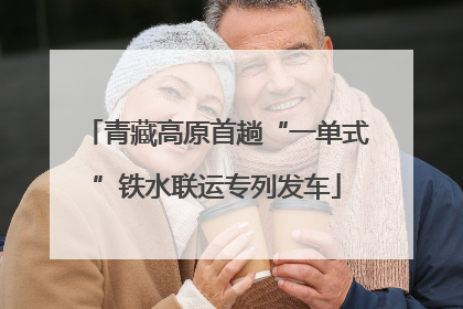 青藏高原首趟“一单式”铁水联运专列发车