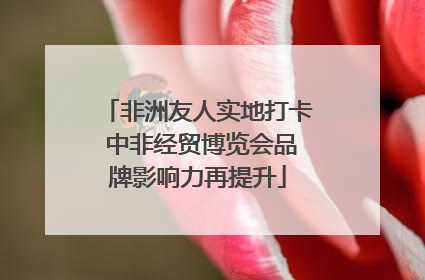 非洲友人实地打卡 中非经贸博览会品牌影响力再提升