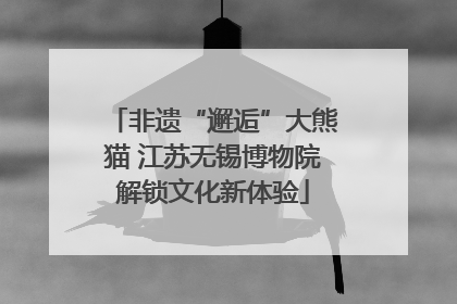 非遗“邂逅”大熊猫 江苏无锡博物院解锁文化新体验