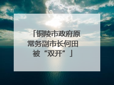 铜陵市政府原常务副市长何田被“双开”