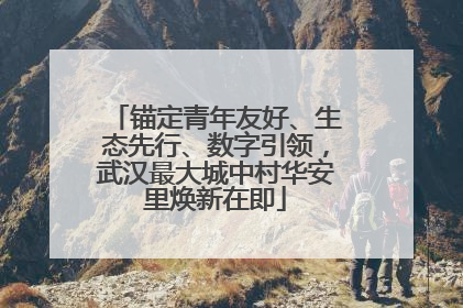 锚定青年友好、生态先行、数字引领，武汉最大城中村华安里焕新在即