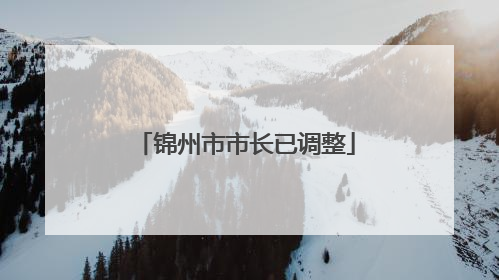 锦州市市长已调整