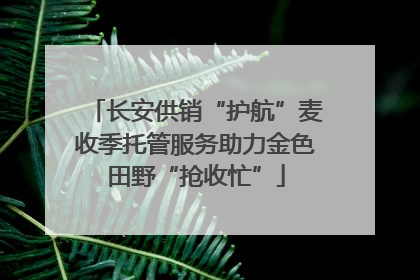长安供销“护航”麦收季托管服务助力金色田野“抢收忙”