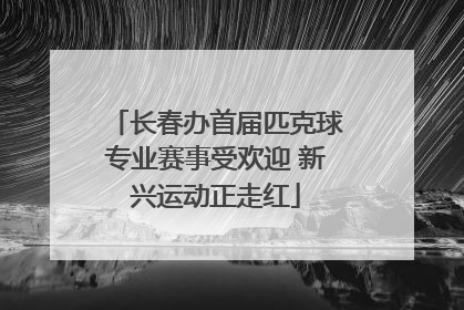 长春办首届匹克球专业赛事受欢迎 新兴运动正走红