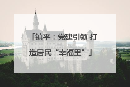 镇平：党建引领 打造居民“幸福里”