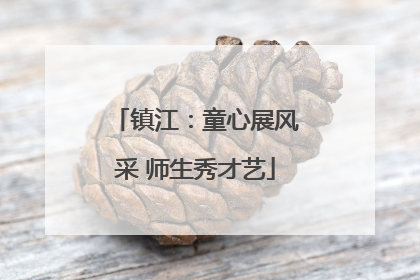 镇江：童心展风采 师生秀才艺