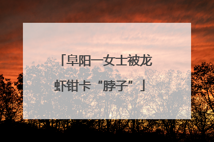 阜阳一女士被龙虾钳卡“脖子”