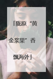 陇原“黄金浆果”香飘海外