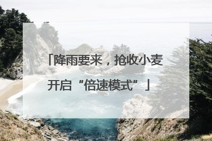 降雨要来，抢收小麦开启“倍速模式”
