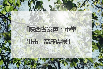 陕西省发声：重拳出击、高压震慑