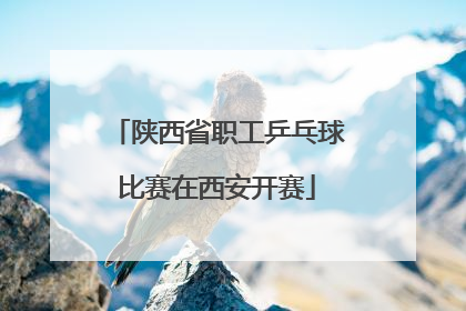 陕西省职工乒乓球比赛在西安开赛