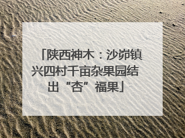 陕西神木：沙峁镇兴四村千亩杂果园结出“杏”福果