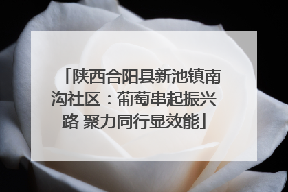 陕西合阳县新池镇南沟社区：葡萄串起振兴路 聚力同行显效能