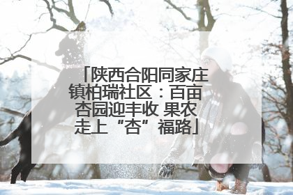 陕西合阳同家庄镇柏瑞社区：百亩杏园迎丰收 果农走上“杏”福路