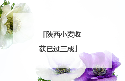 陕西小麦收获已过三成
