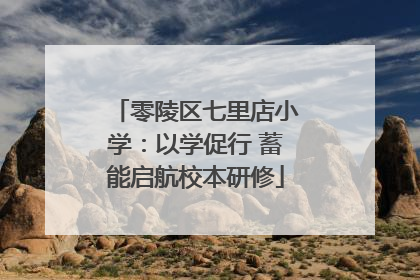 零陵区七里店小学：以学促行 蓄能启航校本研修