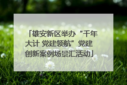 雄安新区举办“千年大计 党建领航”党建创新案例场景汇活动