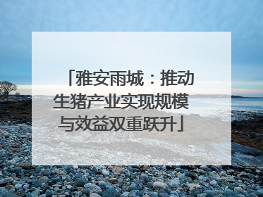 雅安雨城：推动生猪产业实现规模与效益双重跃升