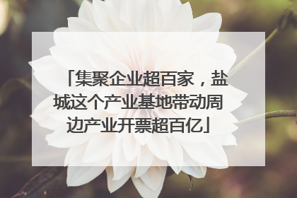 集聚企业超百家，盐城这个产业基地带动周边产业开票超百亿
