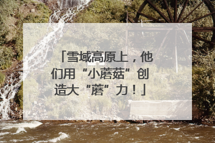雪域高原上，他们用“小蘑菇”创造大“蘑”力！