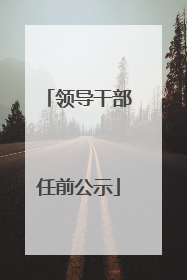 领导干部任前公示