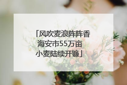 风吹麦浪阵阵香 海安市55万亩小麦陆续开镰