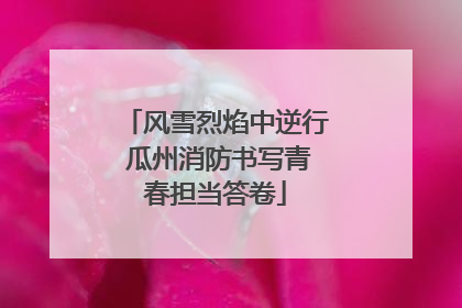 风雪烈焰中逆行 瓜州消防书写青春担当答卷