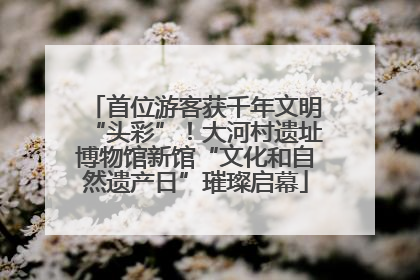 首位游客获千年文明“头彩”！大河村遗址博物馆新馆“文化和自然遗产日”璀璨启幕