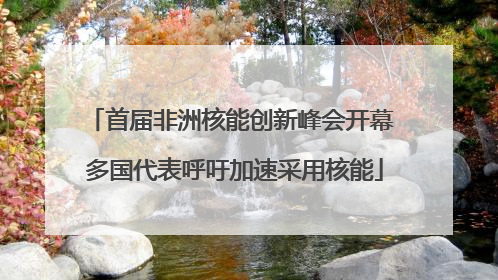 首届非洲核能创新峰会开幕 多国代表呼吁加速采用核能