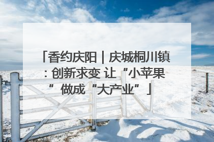香约庆阳｜庆城桐川镇：创新求变 让“小苹果”做成“大产业”