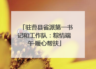 驻曹县省派第一书记和工作队：粽情端午·暖心帮扶