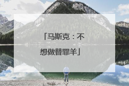 马斯克：不想做替罪羊