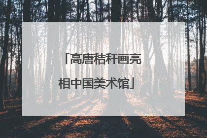 高唐秸秆画亮相中国美术馆