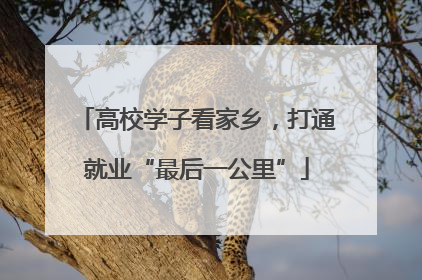 高校学子看家乡，打通就业“最后一公里”