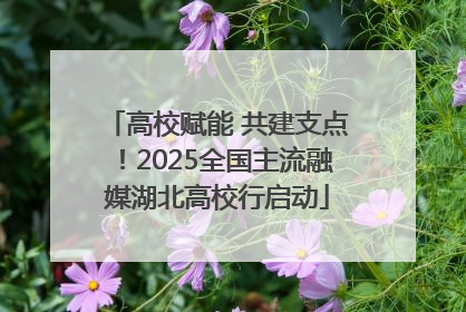 高校赋能 共建支点！2025全国主流融媒湖北高校行启动