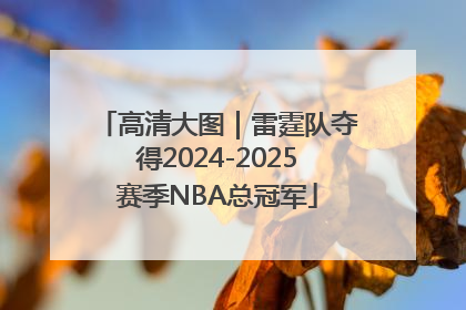 高清大图｜雷霆队夺得2024-2025赛季NBA总冠军