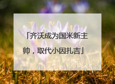 齐沃成为国米新主帅，取代小因扎吉