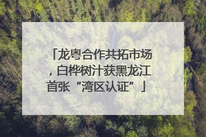 龙粤合作共拓市场，白桦树汁获黑龙江首张“湾区认证”