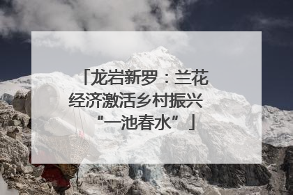 龙岩新罗：兰花经济激活乡村振兴“一池春水”
