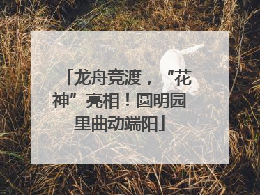 龙舟竞渡，“花神”亮相！圆明园里曲动端阳