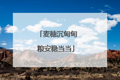 麦穗沉甸甸 粮安稳当当