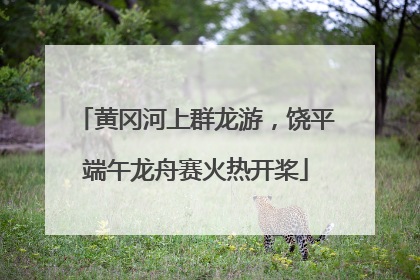 黄冈河上群龙游，饶平端午龙舟赛火热开桨