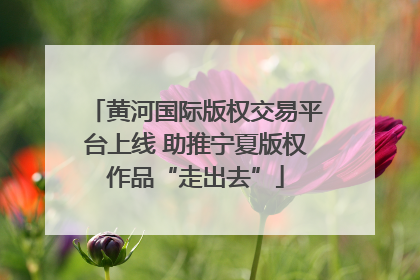 黄河国际版权交易平台上线 助推宁夏版权作品“走出去”
