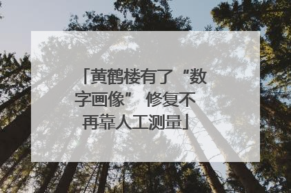 黄鹤楼有了“数字画像” 修复不再靠人工测量