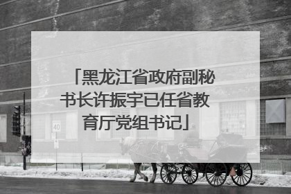 黑龙江省政府副秘书长许振宇已任省教育厅党组书记